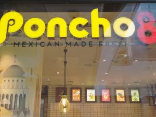 Poncho 8 Branding